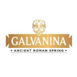 Galvanina Organic Soda
